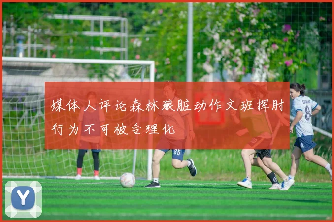 媒体人评论森林狼脏动作文班挥肘行为不可被合理化