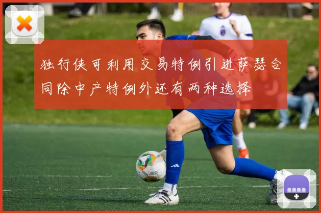 独行侠可利用交易特例引进萨瑟合同除中产特例外还有两种选择