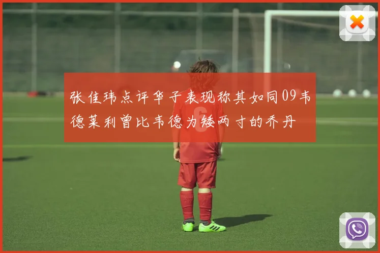 张佳玮点评华子表现称其如同09韦德莱利曾比韦德为矮两寸的乔丹